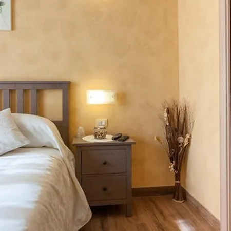 招待所 Domus Solis San Pietro 罗马